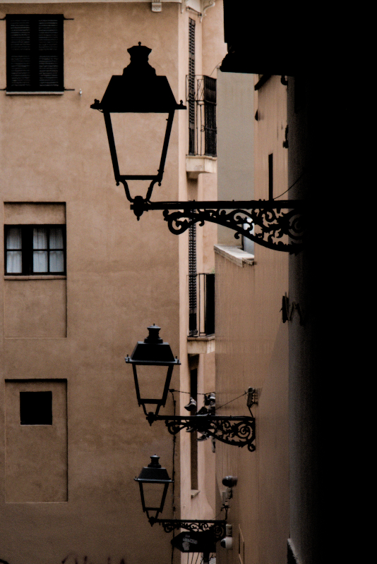 palma_01 2024